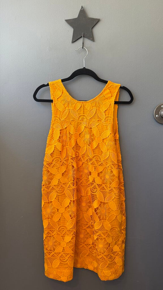 Lace Vback Shift Dress
