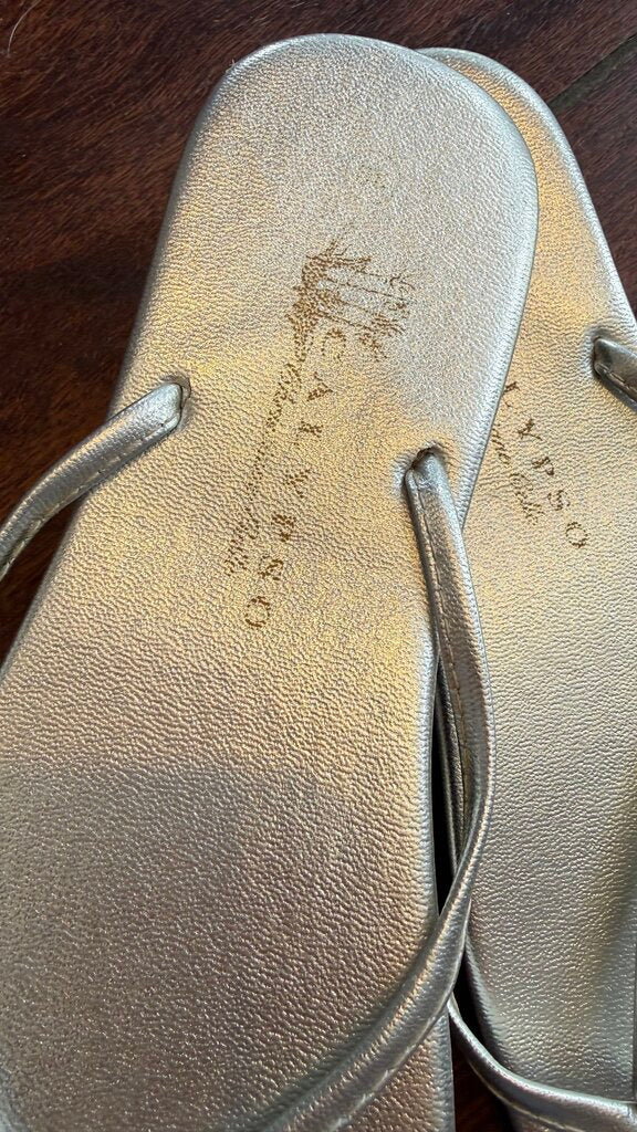 Silver Flip Flop Sandals