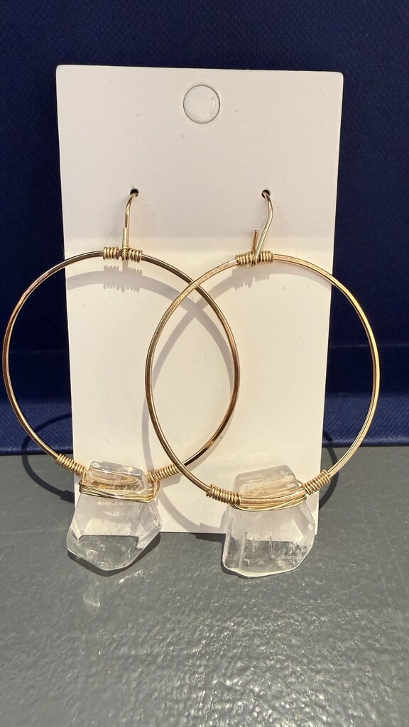 Ring Hoop Earrings
