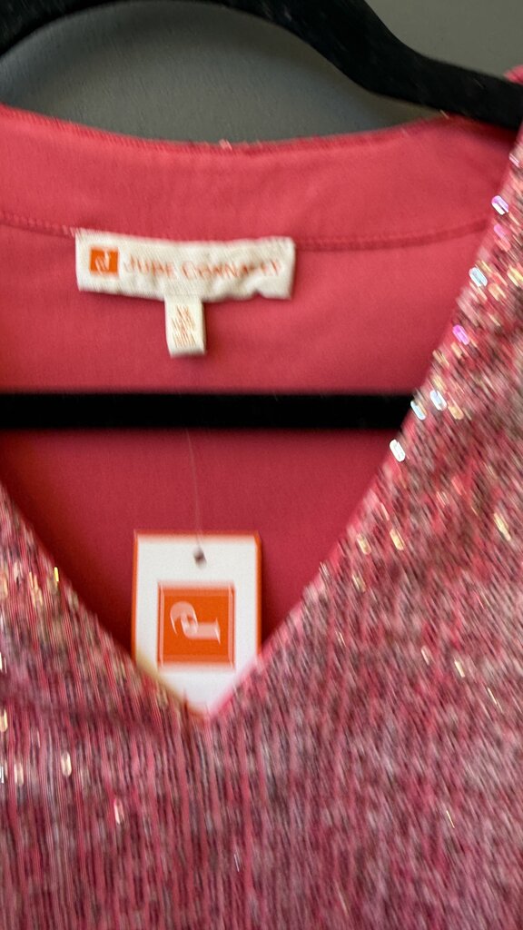 Sequin Vneck Top