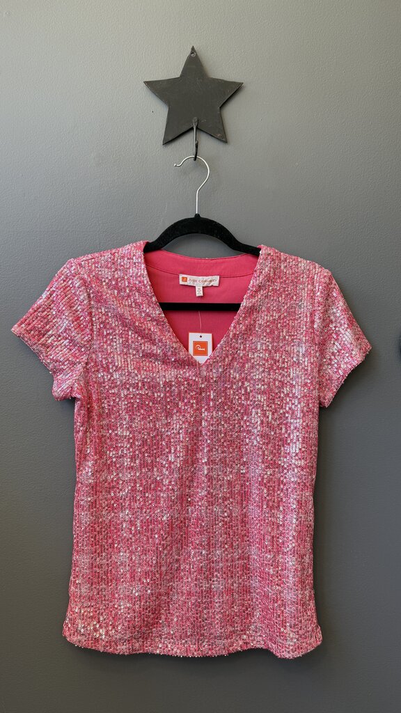 Sequin Vneck Top