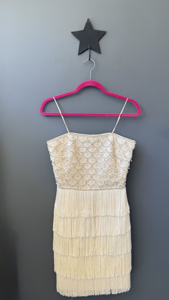 Fringe Beaded Dress