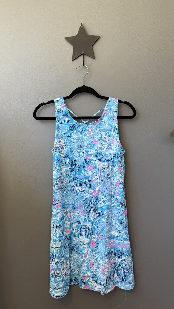 North Carolina Swing Dress