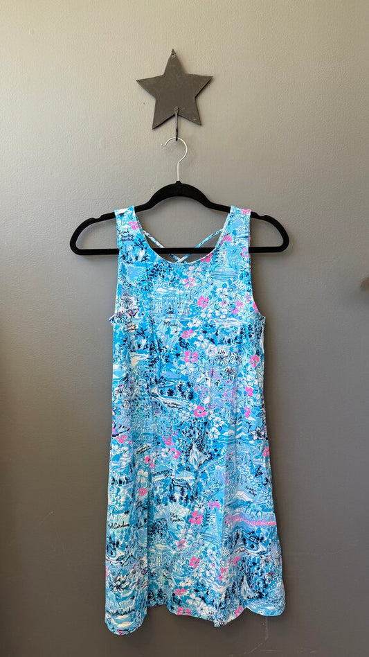 North Carolina Swing Dress