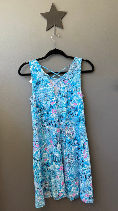North Carolina Swing Dress