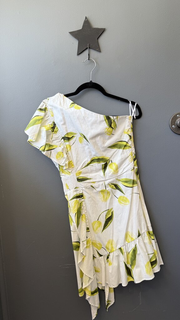 One Shoulder Ruffle Dress