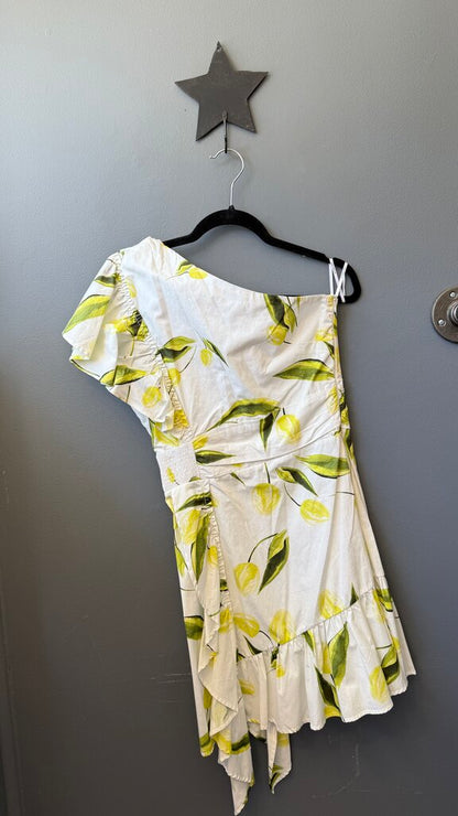 One Shoulder Ruffle Dress