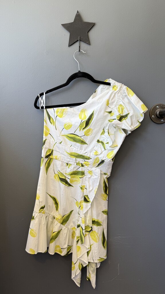 One Shoulder Ruffle Dress