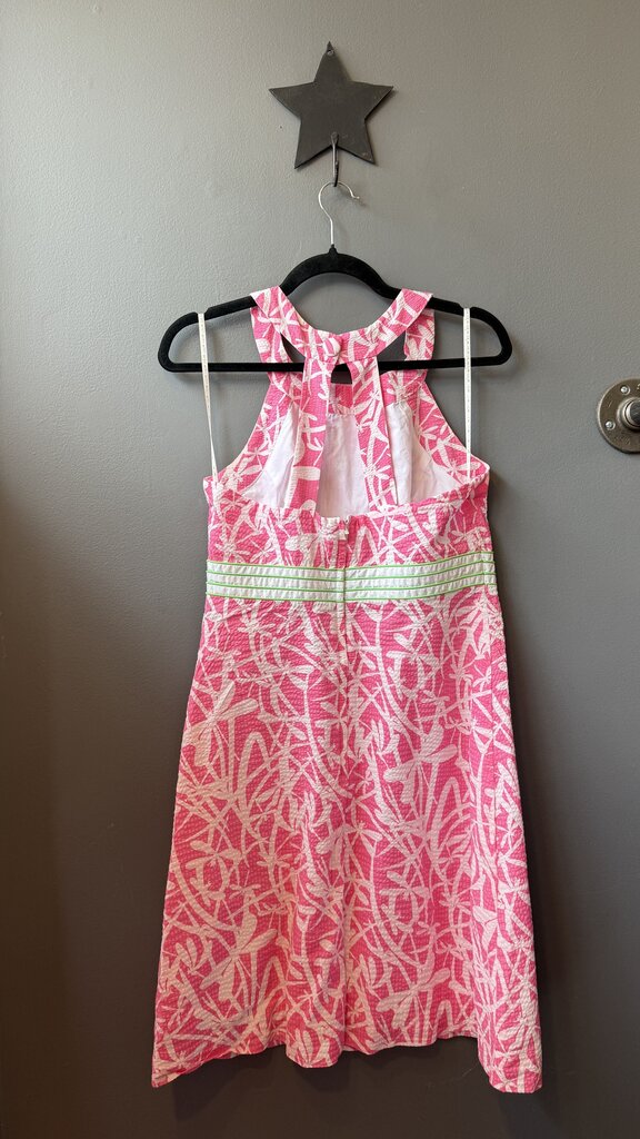 Dragonfly Seersucker Dress