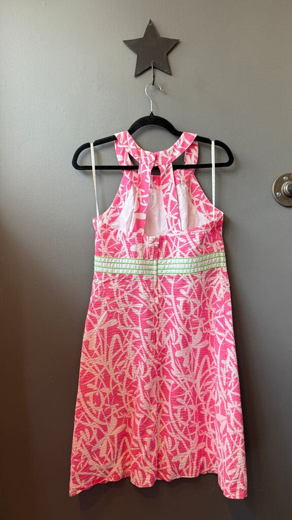 Dragonfly Seersucker Dress
