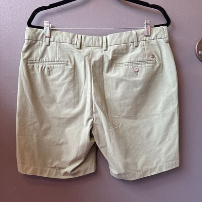 Stretch Green Shorts