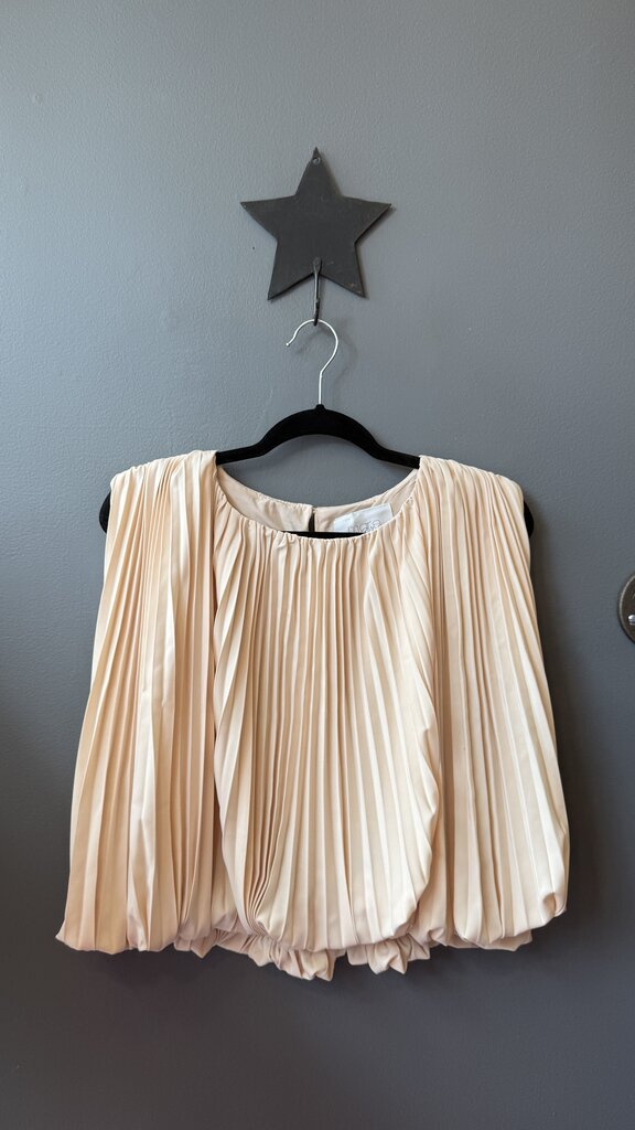 Pleated Blouse