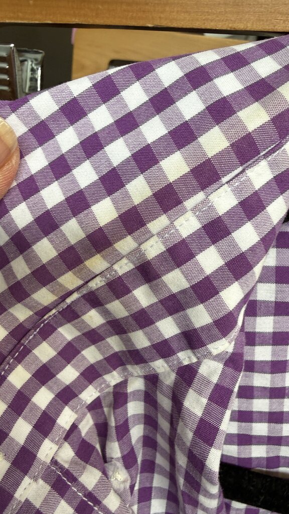 Gingham Whale Button Down Shirt