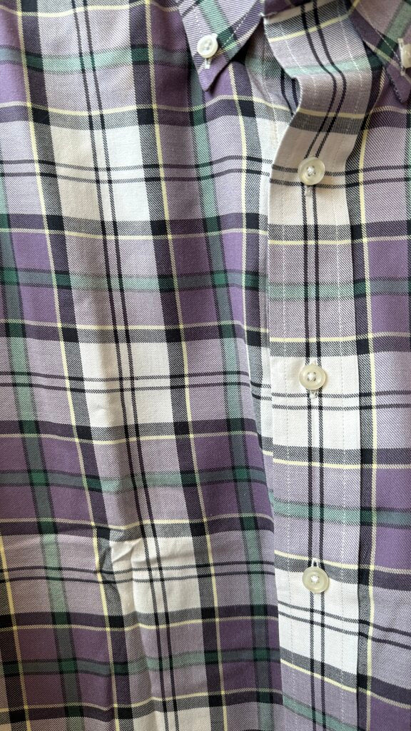Plaid Button Down Shirt