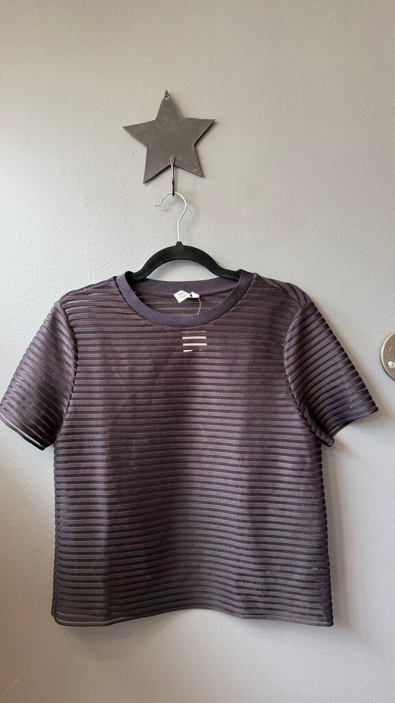 Sheer Stripe TShirt