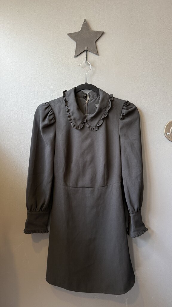 Petite Ruffle Collar Dress